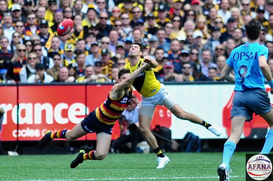Alex Rance back line general intercepts another ball in.