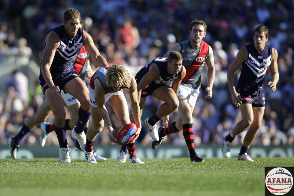 Heppell Gathers